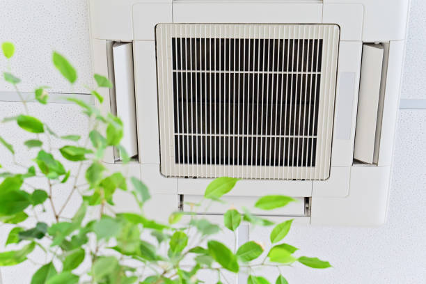 Best Local Air Duct Cleaning Services  in USA